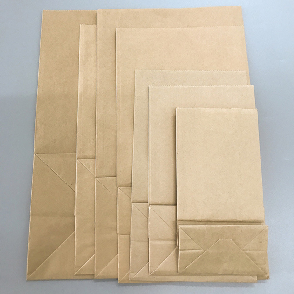Food With Snacks - Kraft Paper Food Grade Bags 100