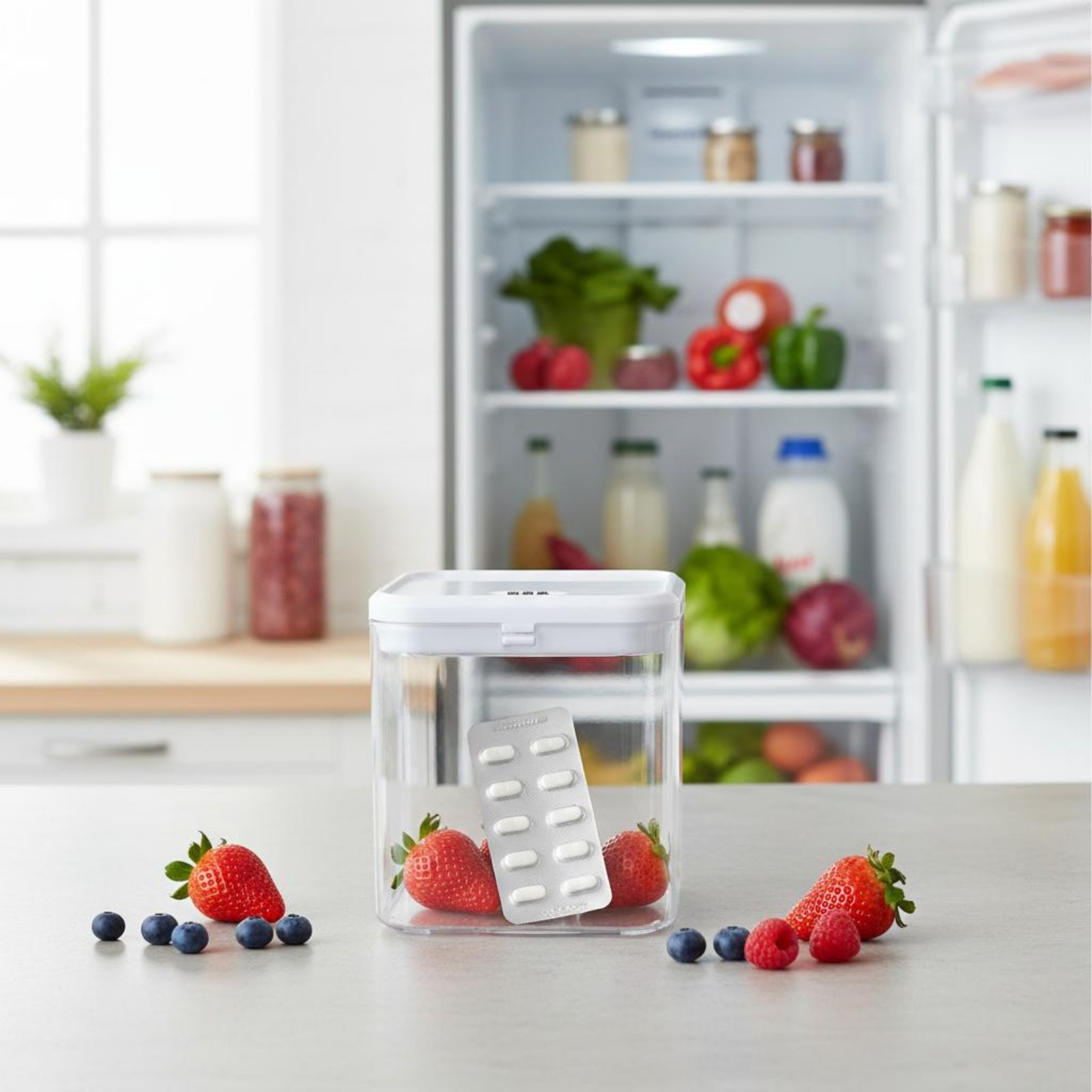 Clear Lockable Box Versatile L - Food & Snacks Coloring Book Bold & Easy Designs For Adults And Kids Bold & Easy Coloring Books review and price