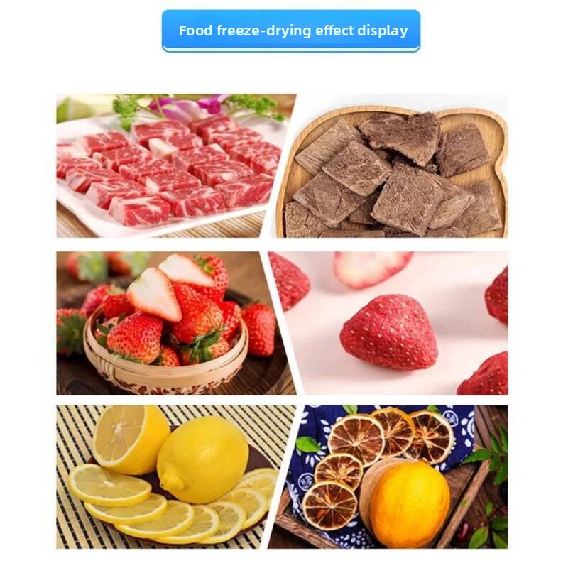 Vacuum Food Fruit Commercial A - Food With Snacks review and price